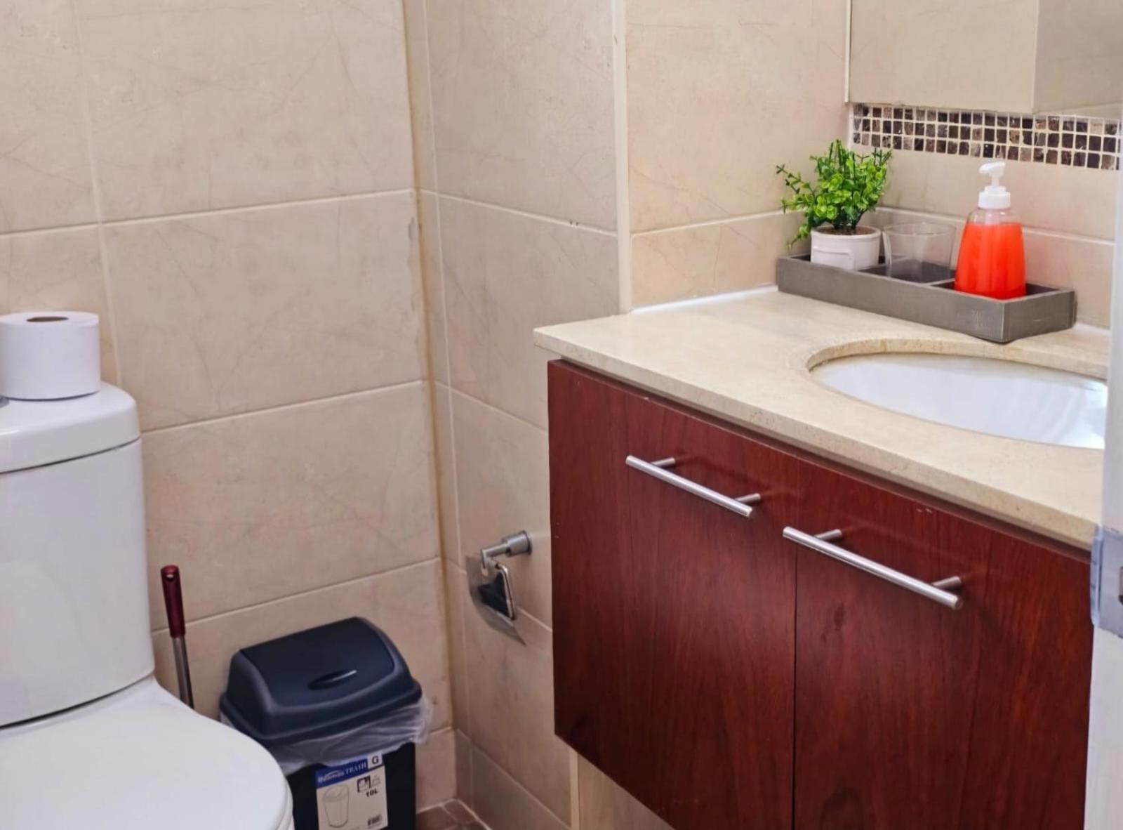 Apart Hotel Suagon Suites Santiago Centro Extérieur photo